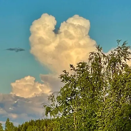 Pensionat Kotajaerven Studio-galleria